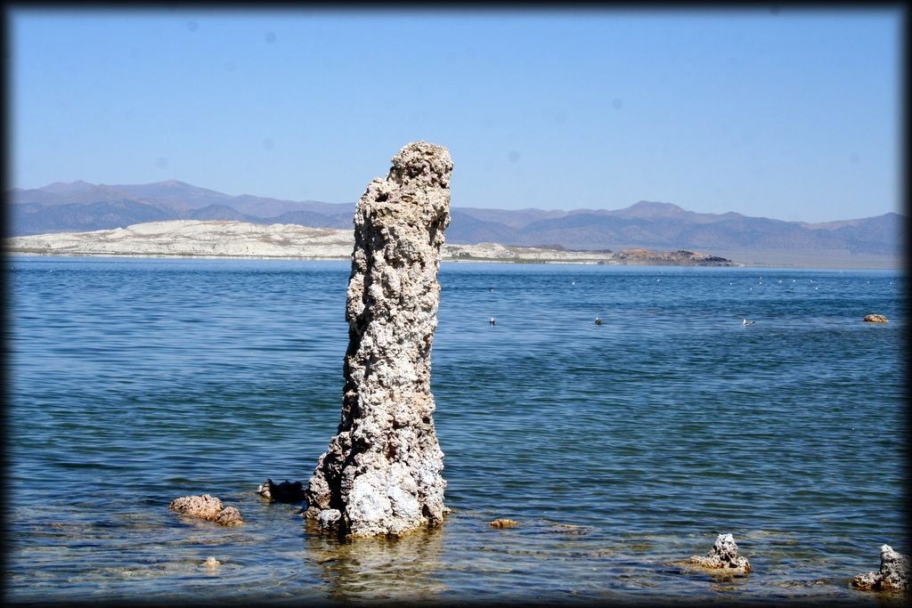 We visited Mono Lake in the Eastern Sierras, home to some very interesting rock formations, and great kayaking.